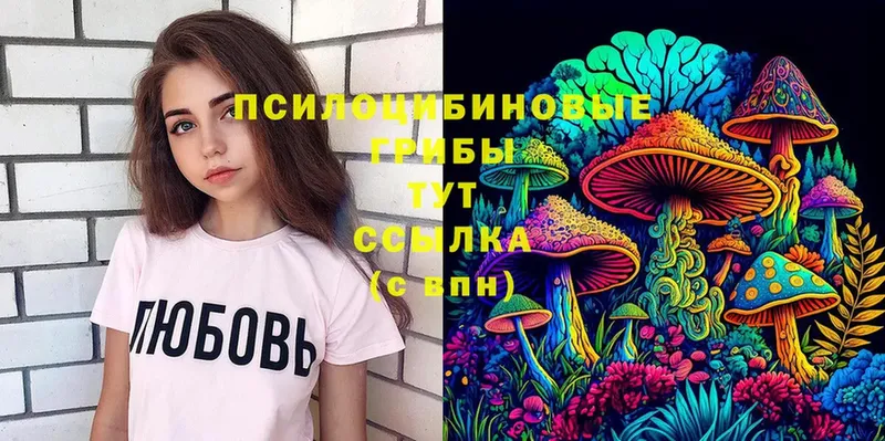 Псилоцибиновые грибы Cubensis  где купить наркотик  Георгиевск 